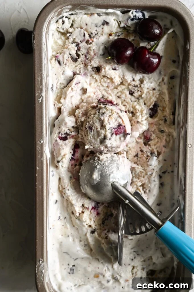 Cherry Chocolate Chunk Ice Cream (No-Churn Recipe) 9 No churn cherry ice cream with chocolate chunks is a great summertime treat, no ice cream maker needed!