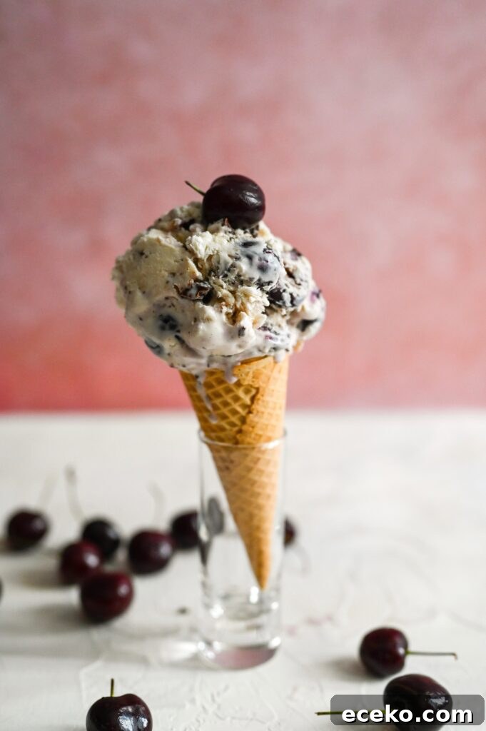 Cherry Chocolate Chunk Ice Cream (No-Churn Recipe) 10 No churn cherry ice cream with chocolate chunks is a great summertime treat, no ice cream maker needed!