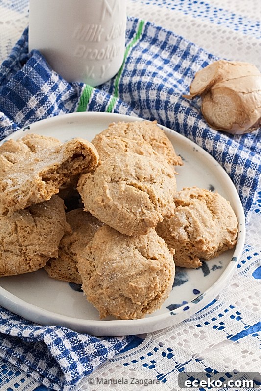 Soft Ginger Cookies for Low-FODMAP Diet 3 Low Fodmap Soft Ginger Cookies