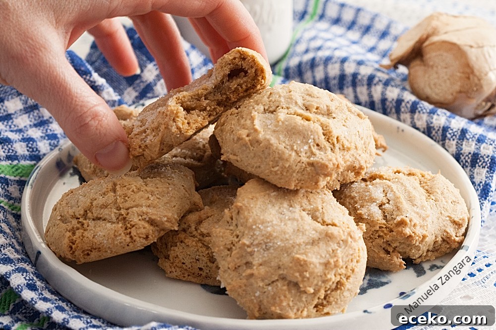 Soft Ginger Cookies for Low-FODMAP Diet 4 Low Fodmap Soft Ginger Cookies