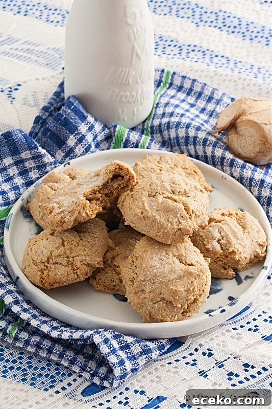 Soft Ginger Cookies for Low-FODMAP Diet 5 Low Fodmap Soft Ginger Cookies