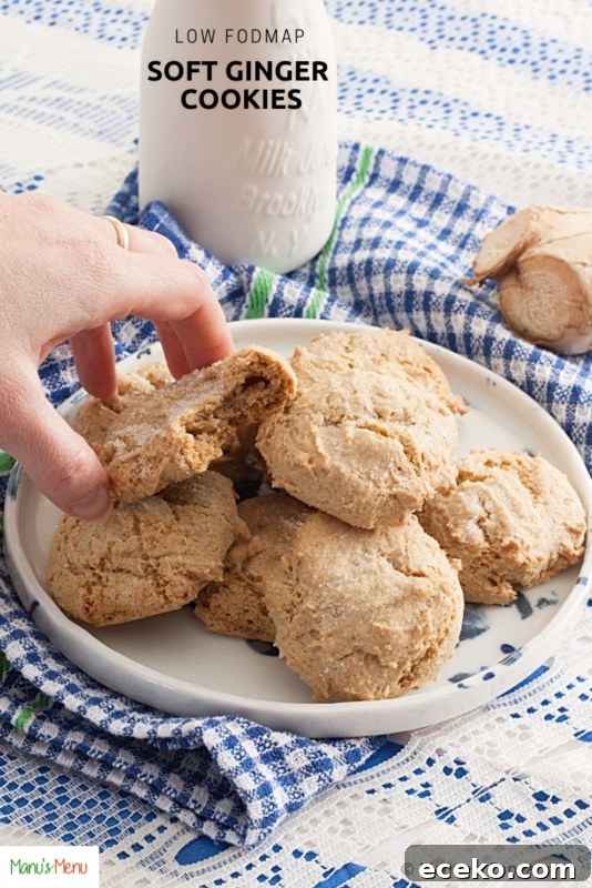 Soft Ginger Cookies for Low-FODMAP Diet 8 Low Fodmap Soft Ginger Cookies
