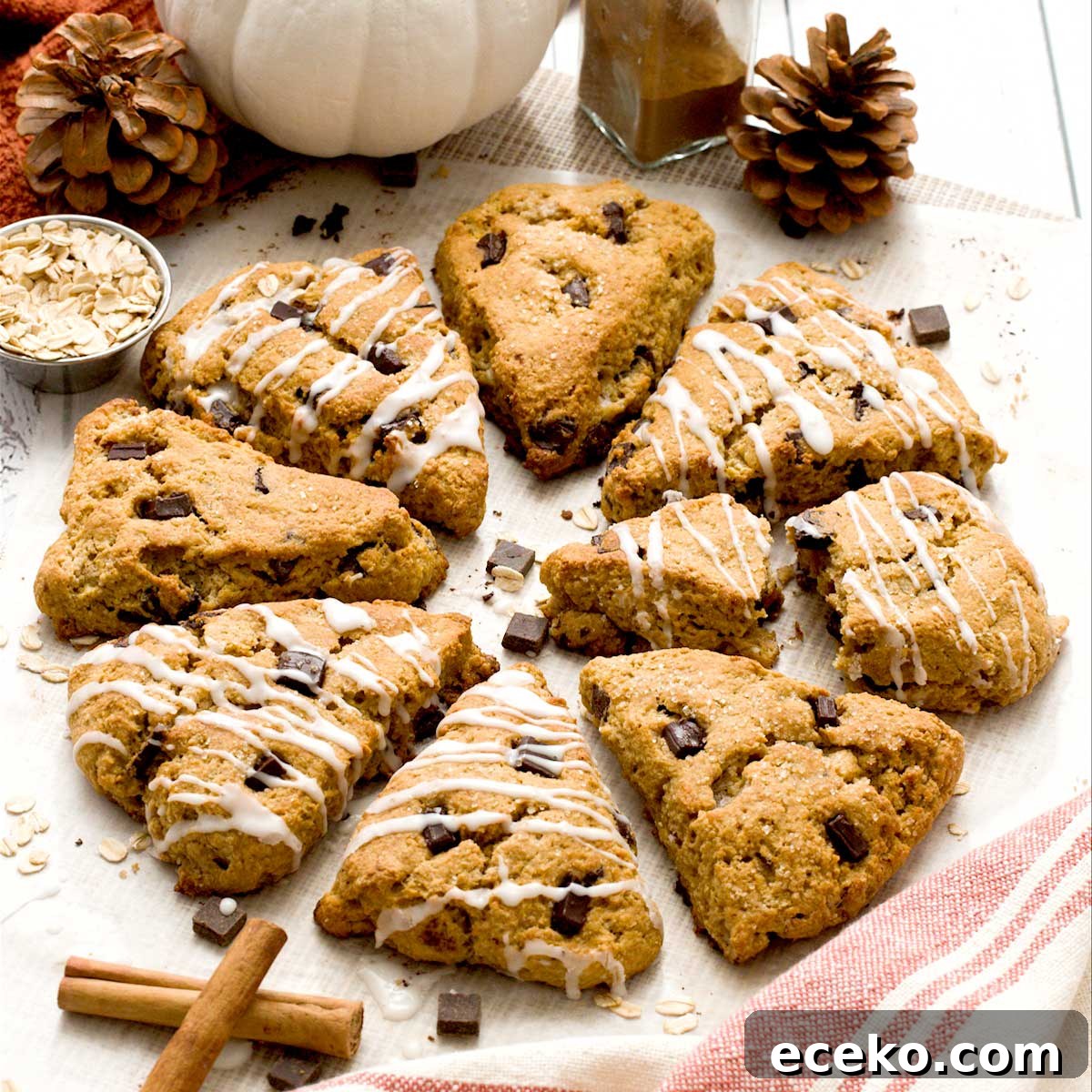 Pumpkin Cottage Cheese Scones with Chocolate Chunks 2 Pumpkin cottage cheese scones in a circle on parchment paper.