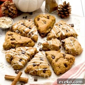 Pumpkin Cottage Cheese Scones with Chocolate Chunks 17 Pumpkin cottage cheese scones in a circle on parchment paper.