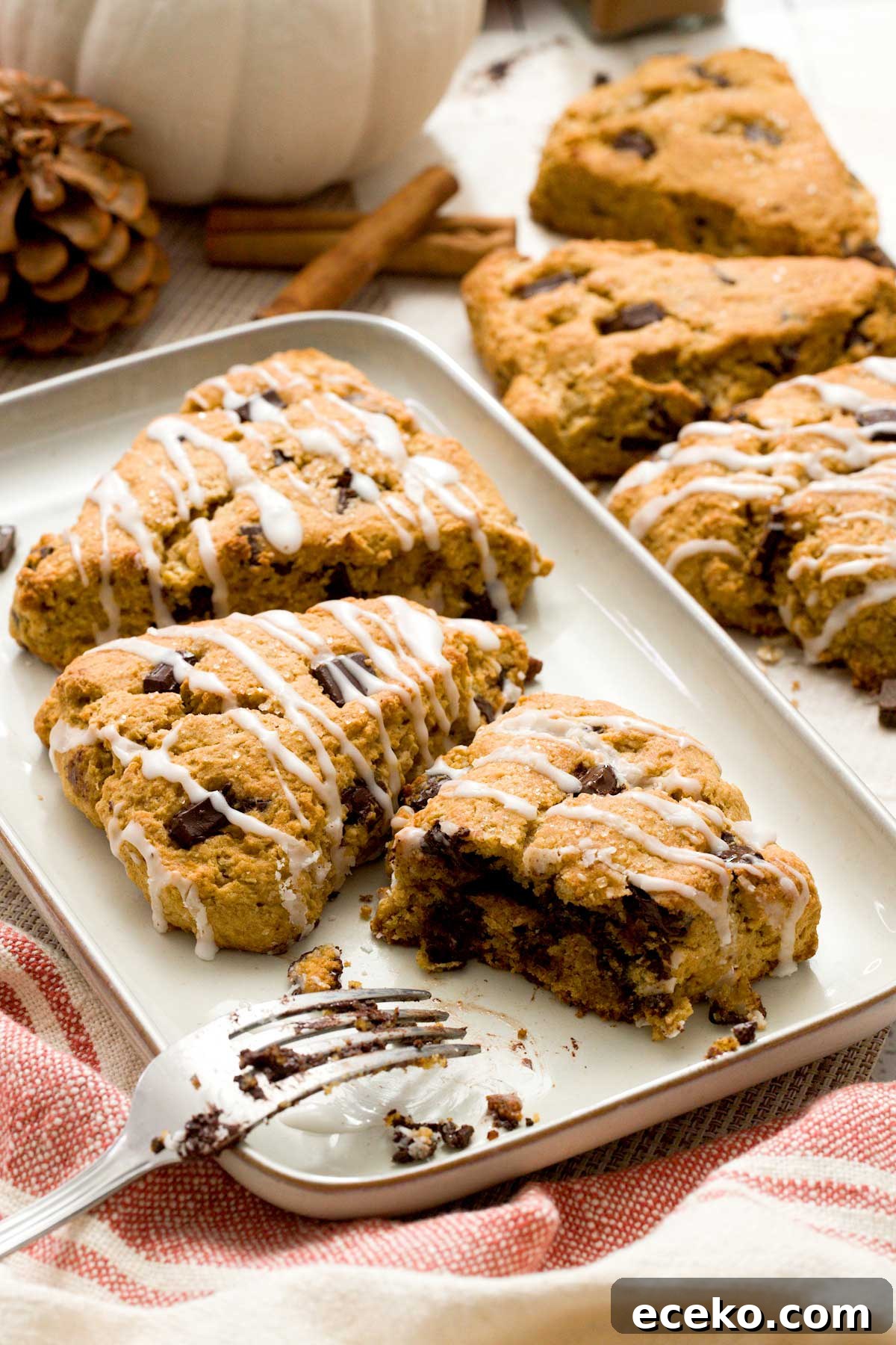 Pumpkin Cottage Cheese Scones with Chocolate Chunks 4 Three pumpkin cottage cheese scones on a plate.