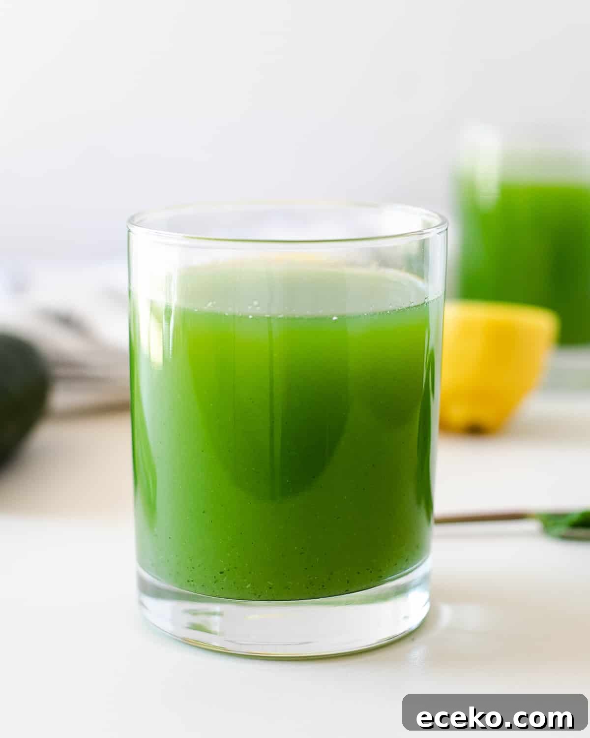 Blender Celery and Cucumber Juice Recipe for Refreshing Detox 2 celery cucumber juice