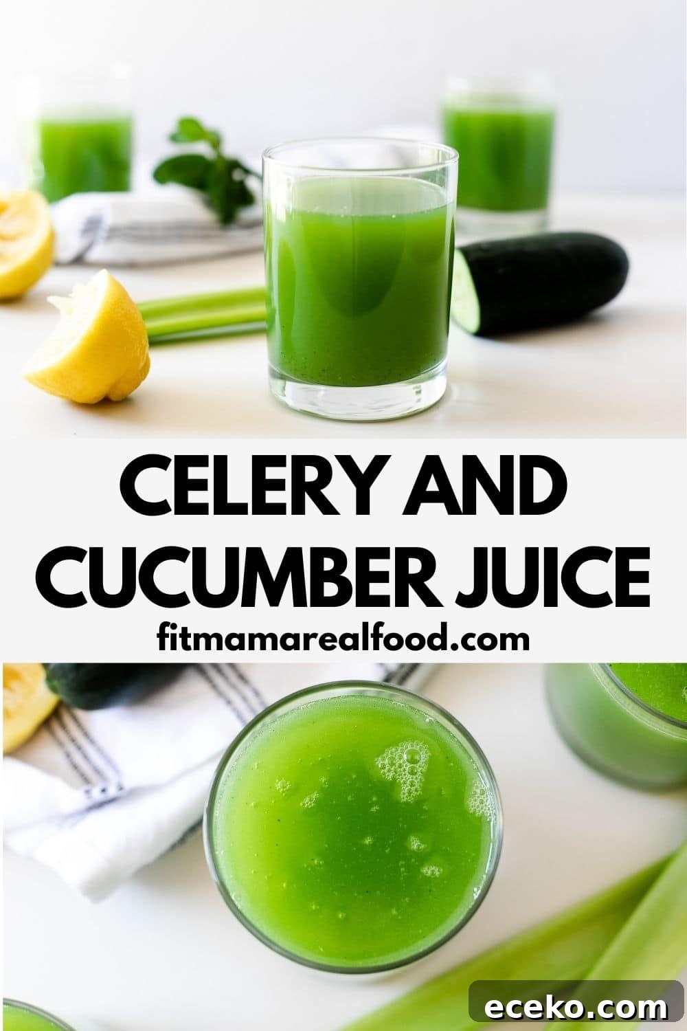 Blender Celery and Cucumber Juice Recipe for Refreshing Detox 10 celery and cucumber juice