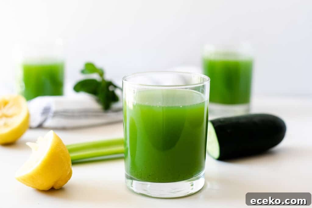 Blender Celery and Cucumber Juice Recipe for Refreshing Detox 3 celery and cucumber juice