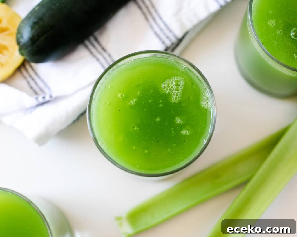 Blender Celery and Cucumber Juice Recipe for Refreshing Detox 4 celery and cucumber juice benefits