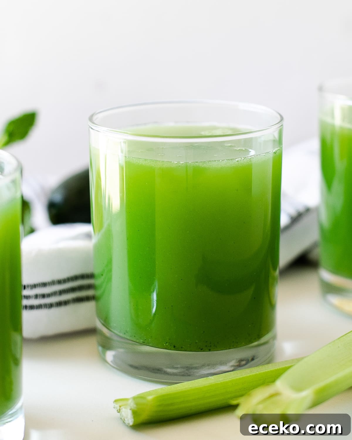 Blender Celery and Cucumber Juice Recipe for Refreshing Detox 5 celery and cucumber juice benefits