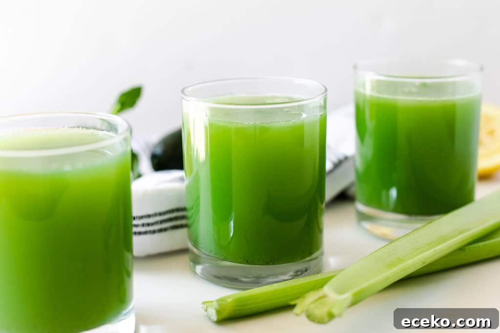 Blender Celery and Cucumber Juice Recipe for Refreshing Detox 6 celery cucumber juice
