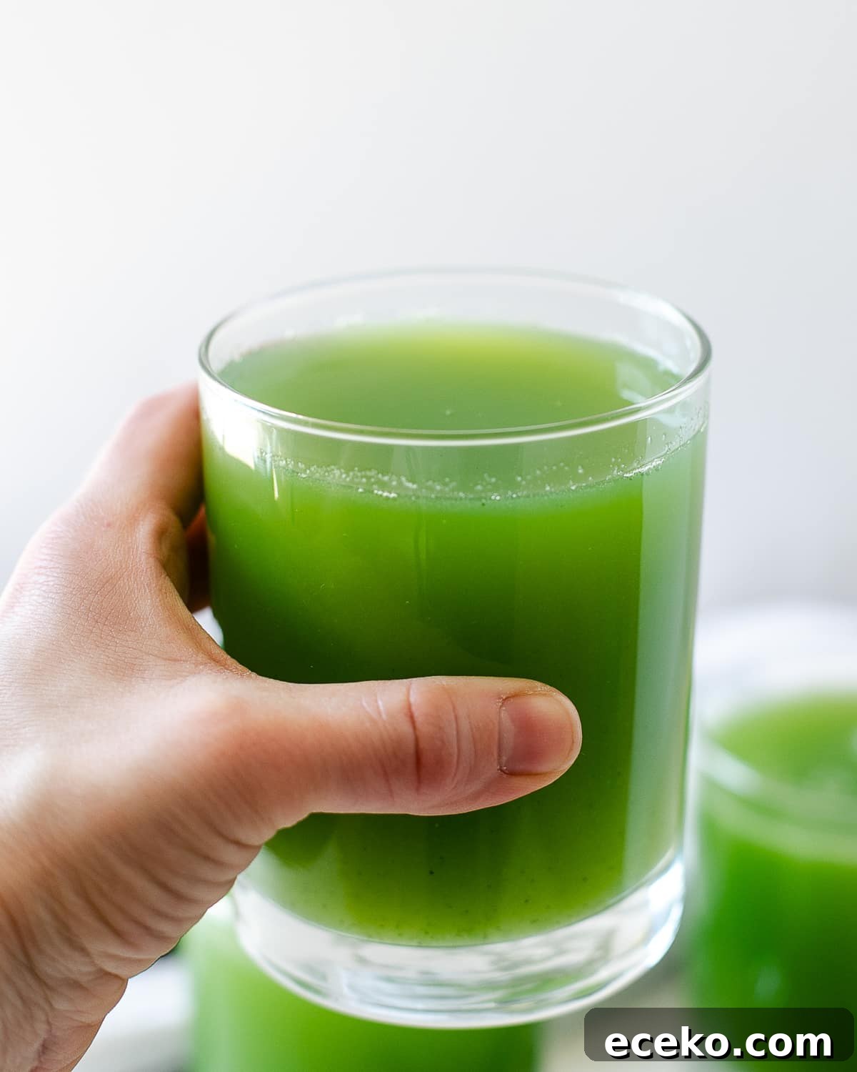 Blender Celery and Cucumber Juice Recipe for Refreshing Detox 7 cucumber and celery juice with apple