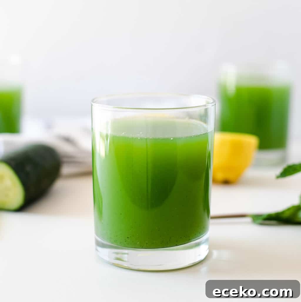 Blender Celery and Cucumber Juice Recipe for Refreshing Detox 8 cucumber celery juice