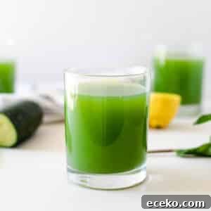 Blender Celery and Cucumber Juice Recipe for Refreshing Detox 9 cucumber celery juice