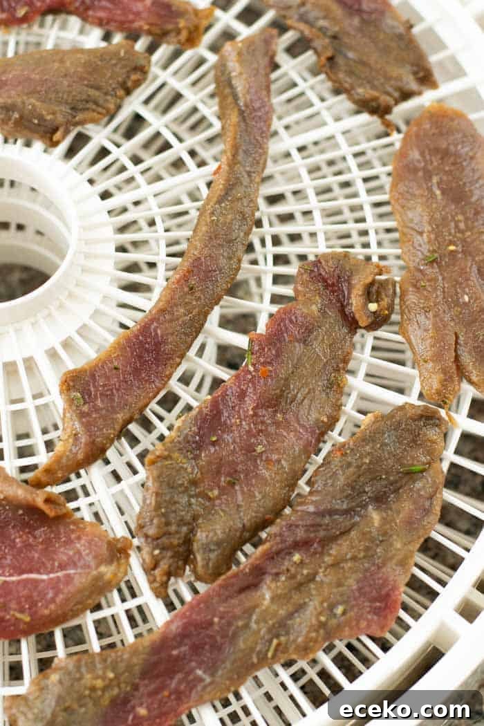 Rosemary-Pear Venison Jerky Recipe for Flavorful Snacks 11 Venison jerky on dehydrator trays