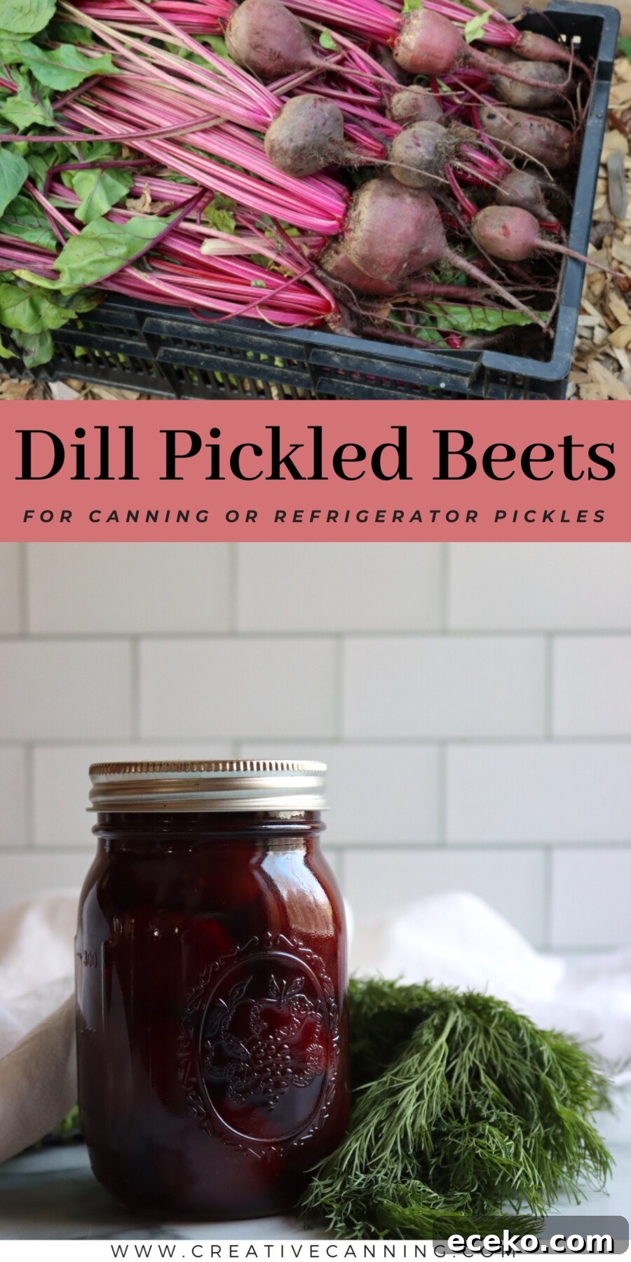 Dill Pickled Beets Recipe