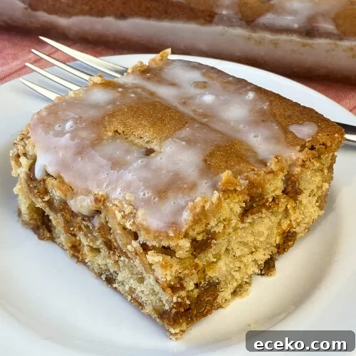 Cinnamon Applesauce Cake Recipe with Moist Spice and Quick Prep 12 Piece of homemade cinnamon applesauce cake on a white plate with cinnamon chips showing on the cut edges and a fork propped on the plate