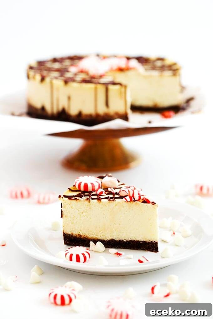 Slice of White Chocolate Peppermint Cheesecake on white plate garnished with broken peppermint candies