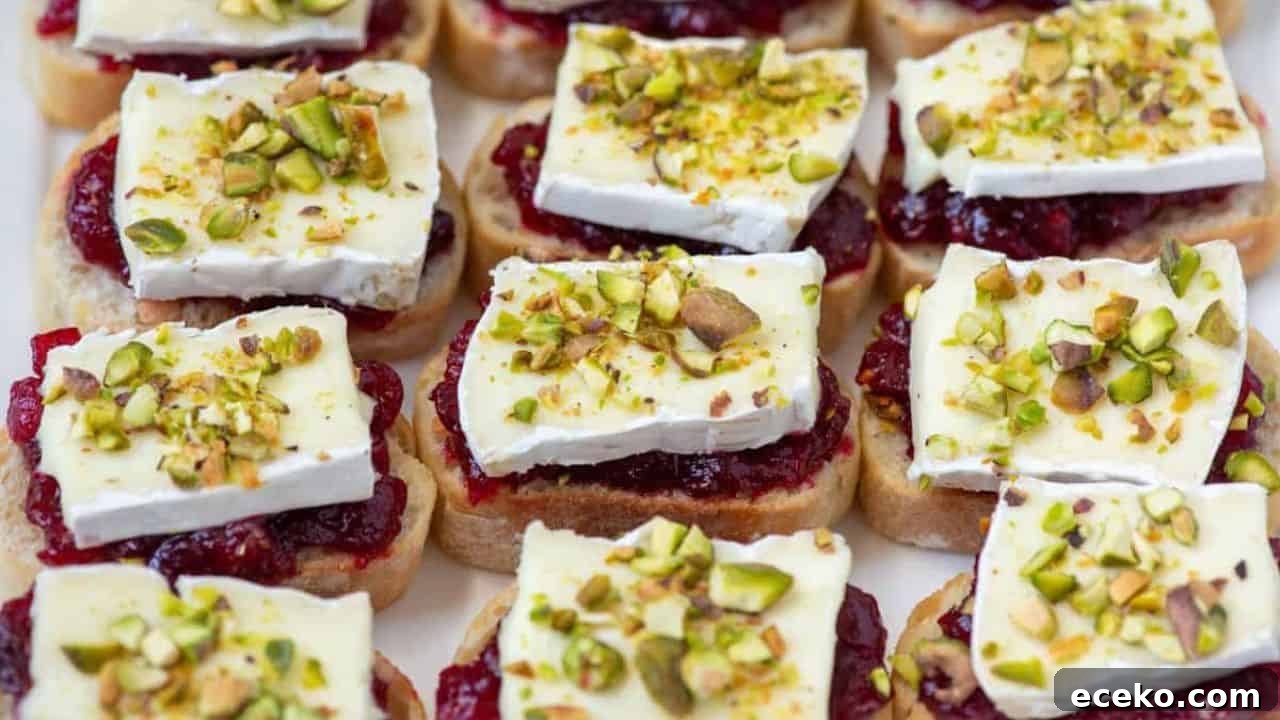 Cranberry Brie Crostini