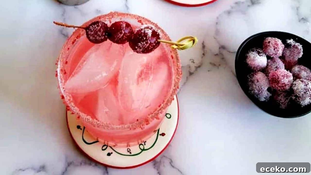 Cranberry Margarita Recipe