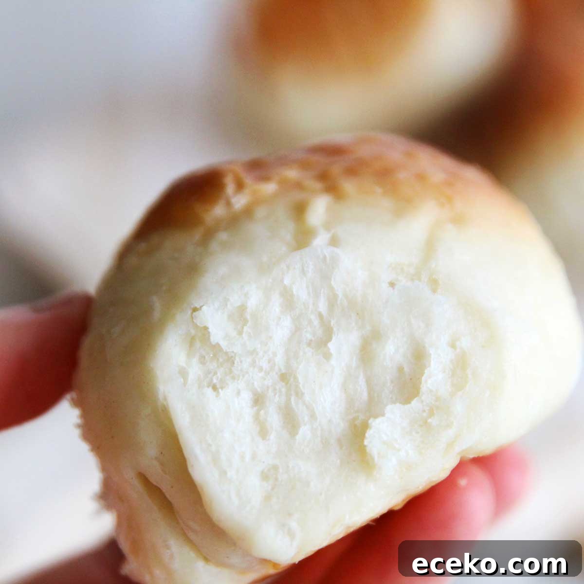 Pillow-Soft Cottage Cheese Dinner Rolls Everyone Will Love 8 img 36741 34