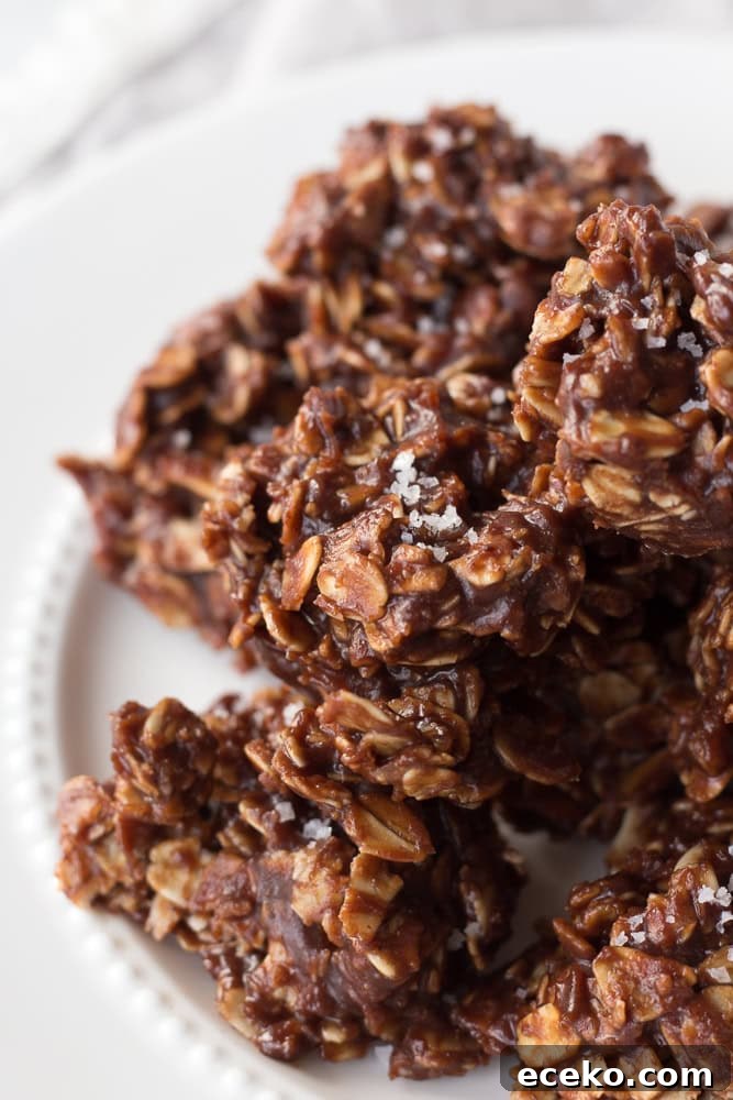 No-Bake Chocolate Peanut Butter Oatmeal Cookies – Gluten Free 2 no bake chocolate cookies piled on a white plate