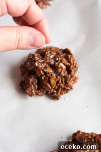 No-Bake Chocolate Peanut Butter Oatmeal Cookies – Gluten Free 11 sprinkling sea salt onto no bake chocolate oatmeal peanut butter cookies