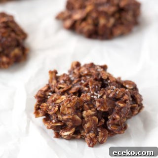 No-Bake Chocolate Peanut Butter Oatmeal Cookies – Gluten Free 14 chocolate oatmeal no bake cookies on parchment paper