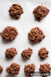 No-Bake Chocolate Peanut Butter Oatmeal Cookies – Gluten Free 10 no bake chocolate oatmeal peanut butter cookies on a sheet pan