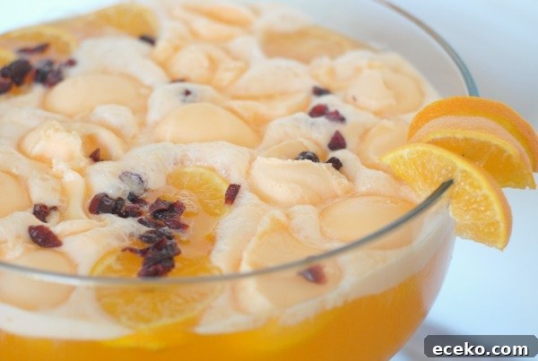 Win Halos Citrus & Cranberry Orange Holiday Punch Recipe 5 Cranberry Orange Punch #HALODays #Sponsored