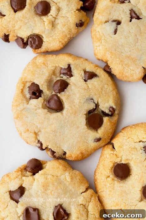 Sugar Free Chocolate Chip Keto Cookies