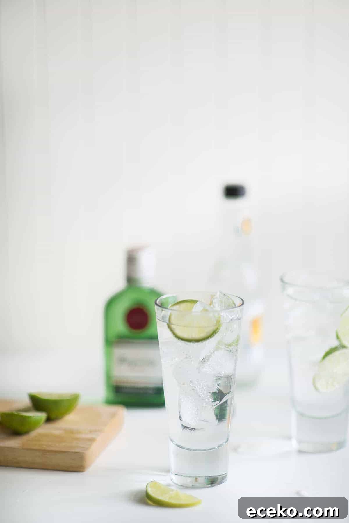 gin and tonic sorbet