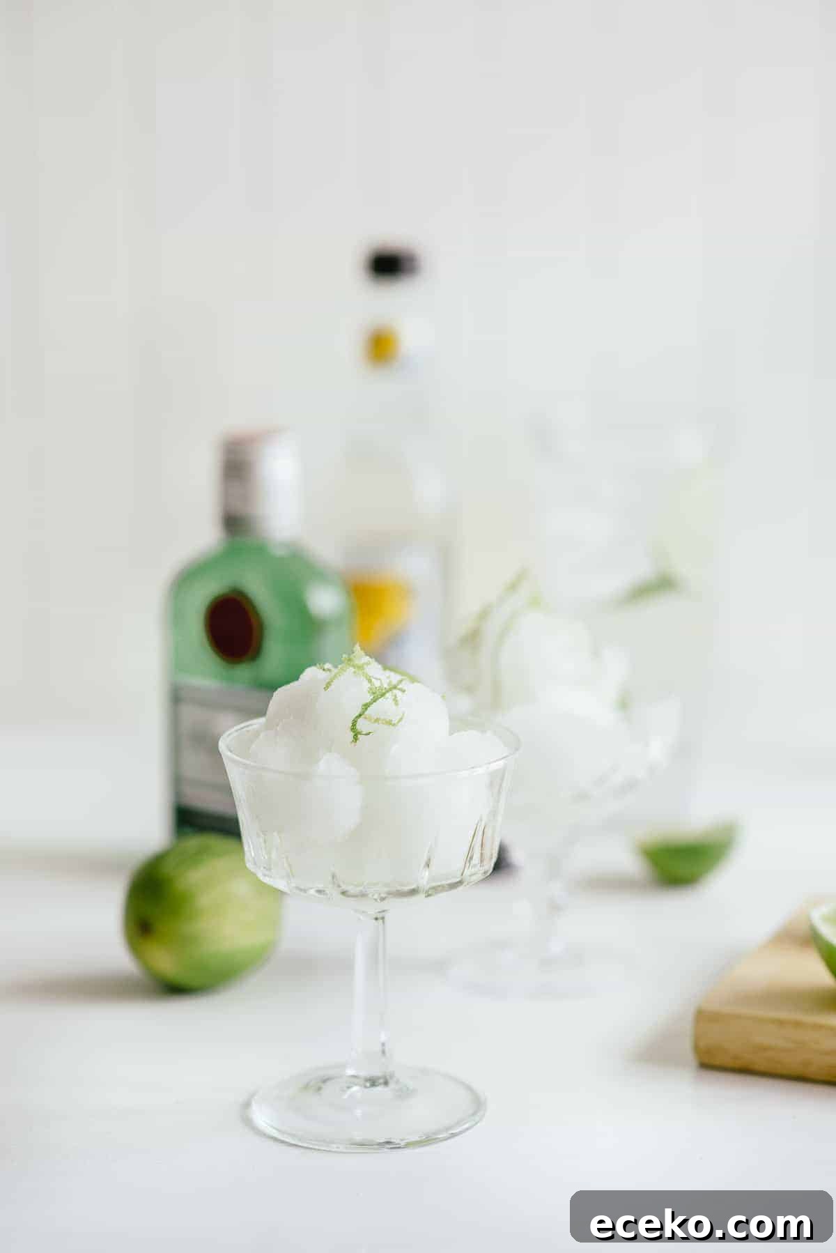 gin and tonic sorbet