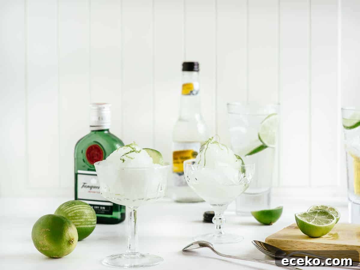 gin and tonic sorbet