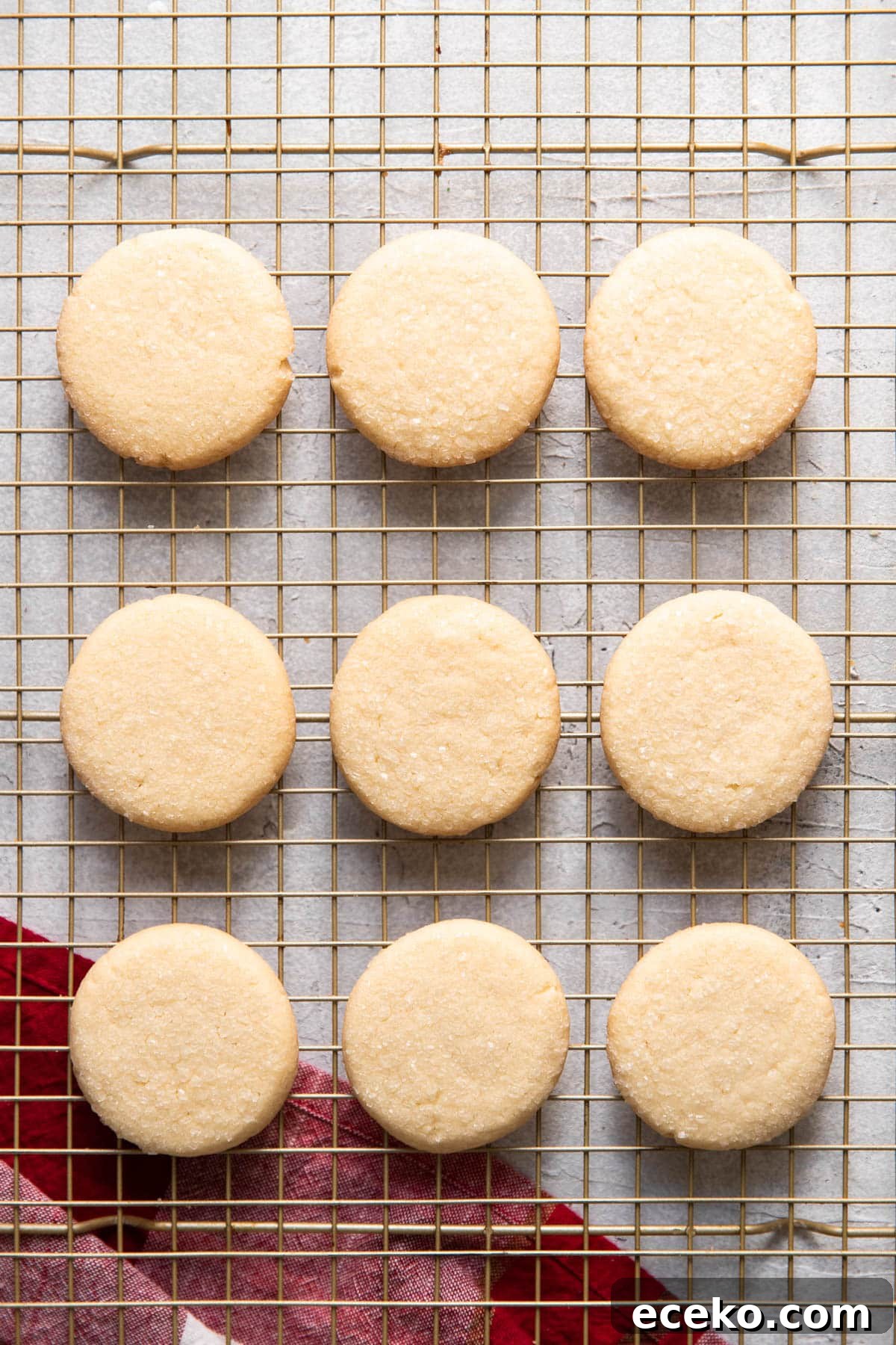 butter cookies tin can christmas cookies after baking