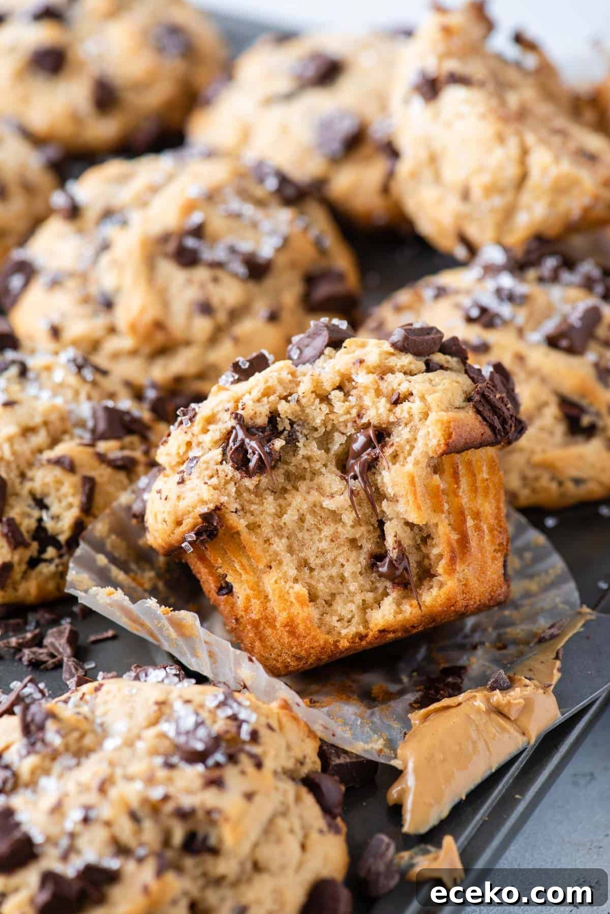 peanut butter muffins with chocolate chips arranged in muffin pan