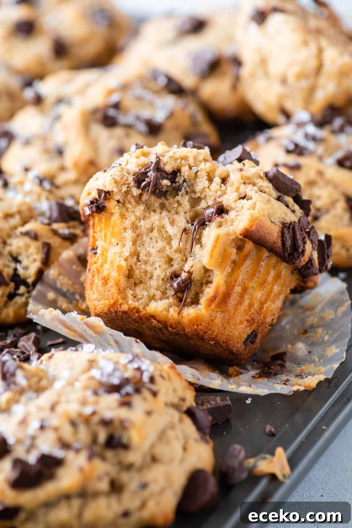 peanut butter muffins with chocolate chips arranged in muffin pan