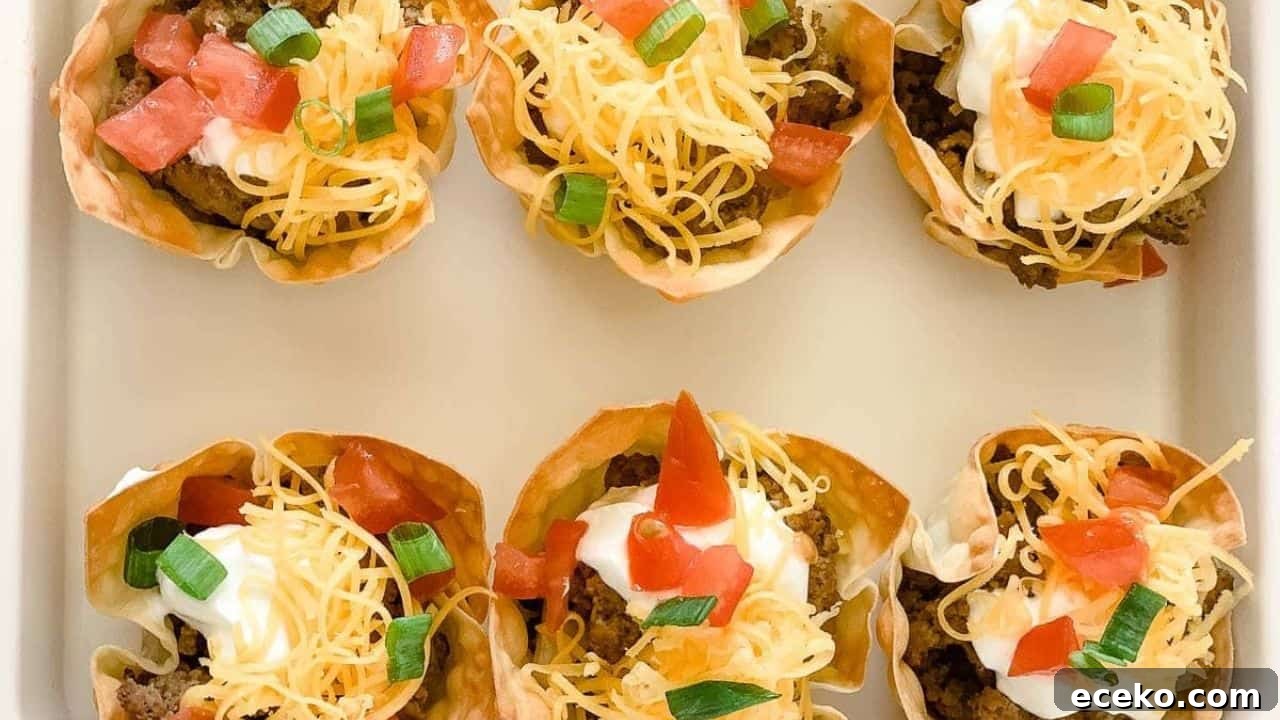 Taco Wonton Cups