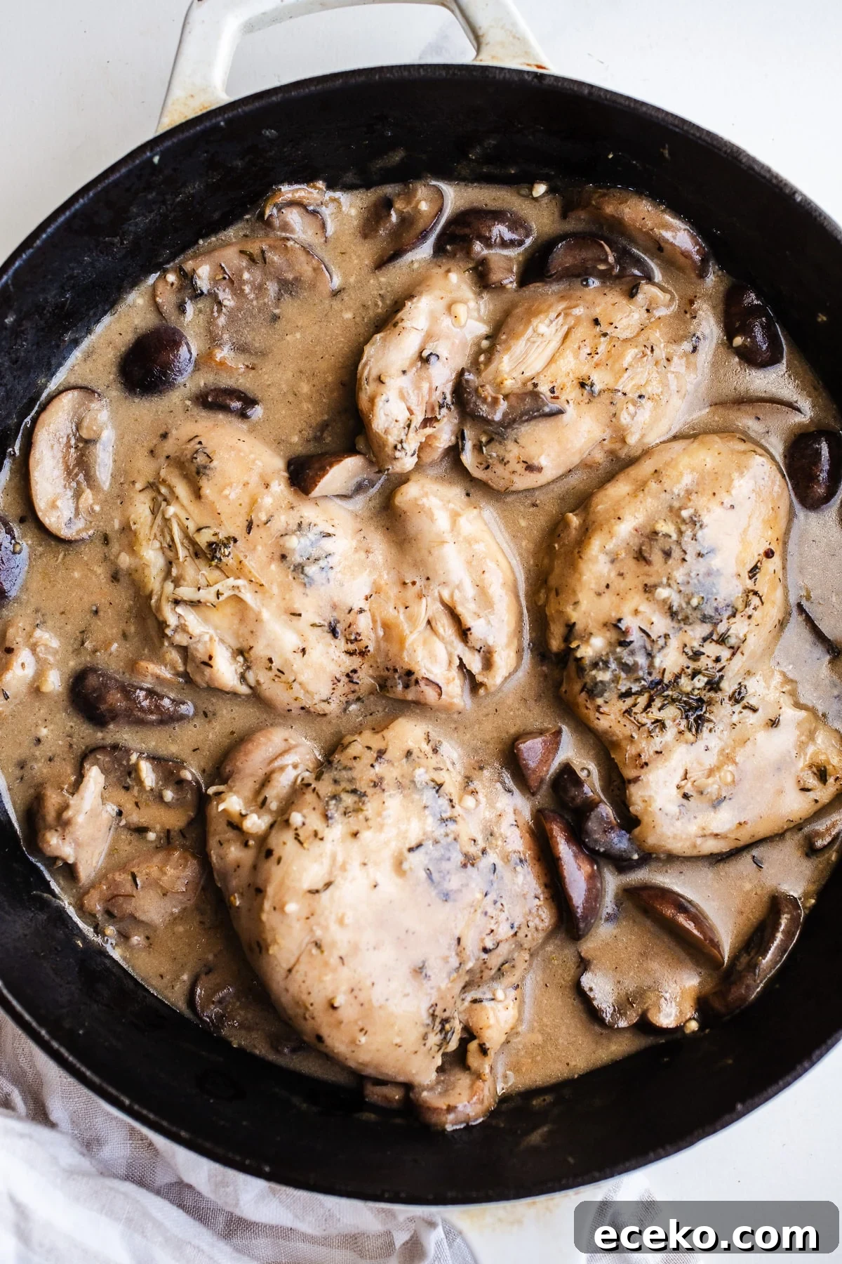 Creamy sauce with chicken and mushrooms.