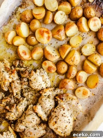 Baked chicken and potatoes on a sheet pan.