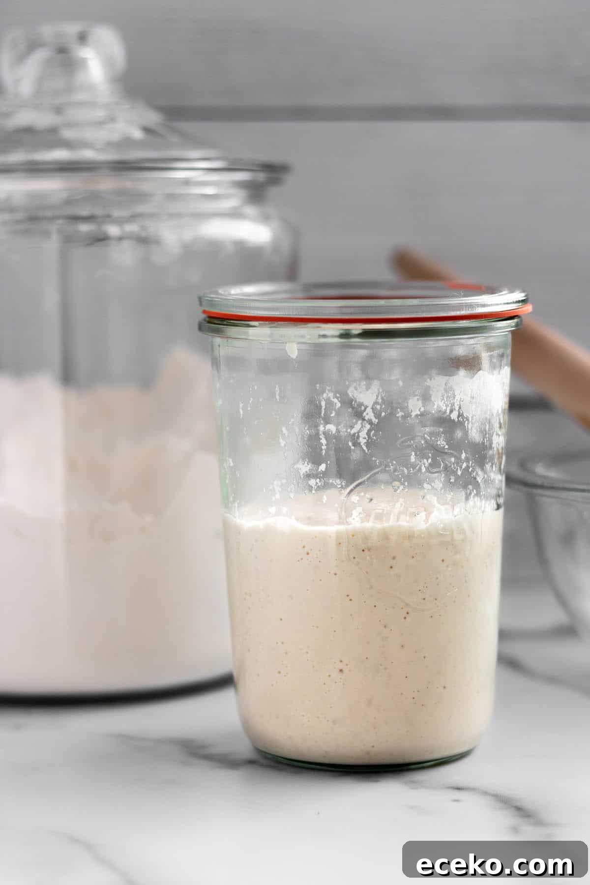 A glass jar with sourdough starter, flour and a dough whisk.