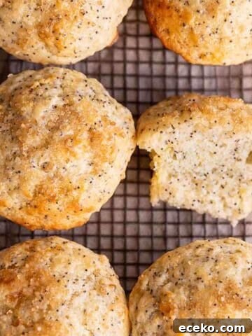 Lemon muffins with coarse sugar sitting on a cooling rack