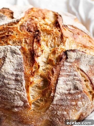 A loaf of homemade sourdough bread.