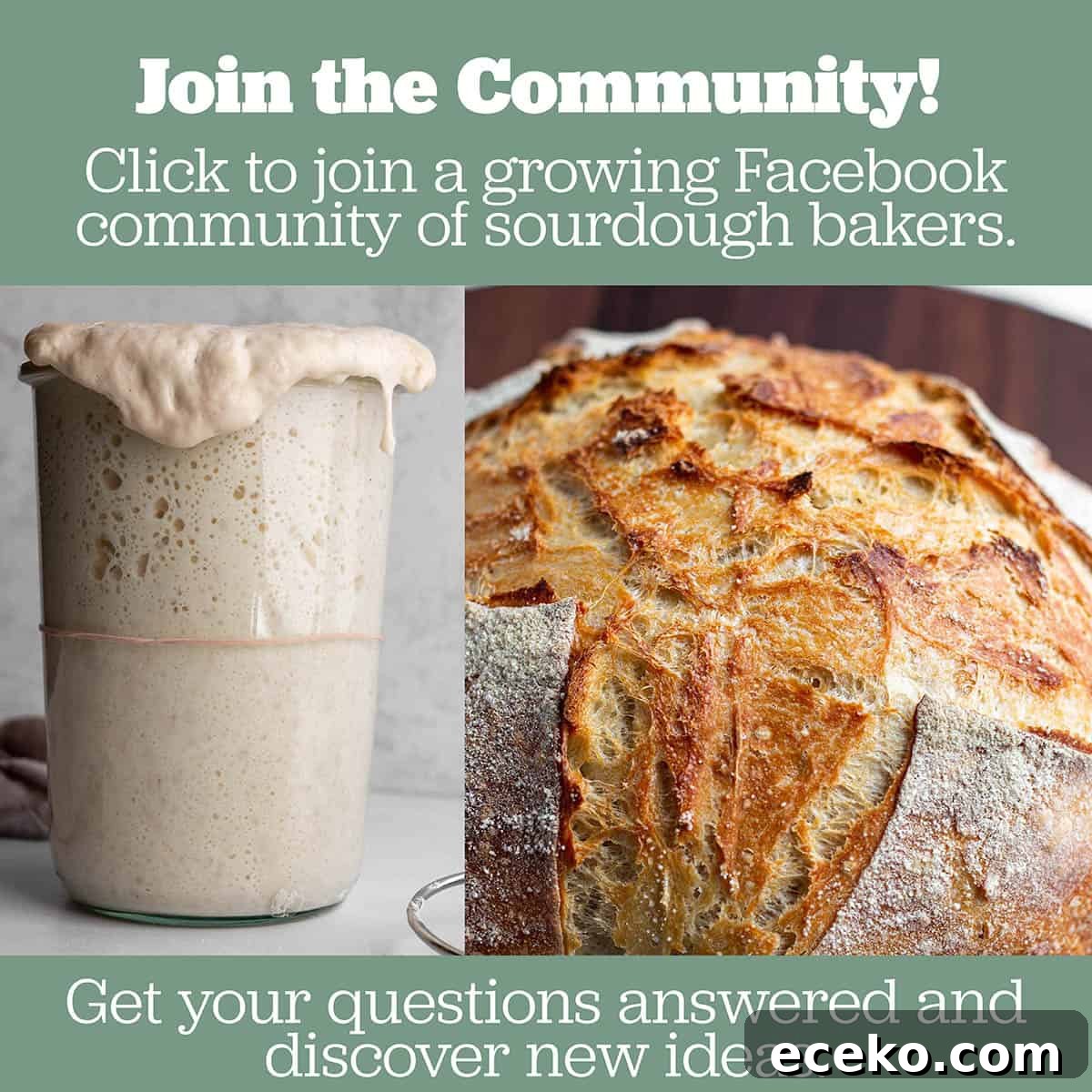 An image of a sourdough starter and bread.