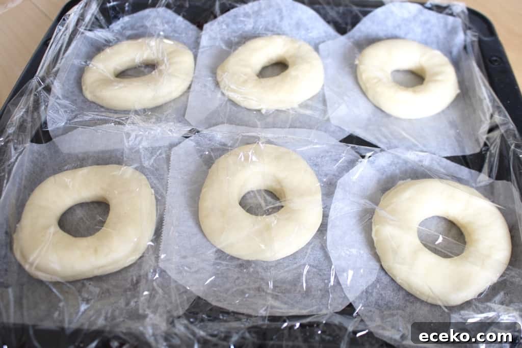Homemade Doughnuts from a Bread Machine: Simple Recipe for Fluffy Treats 4 Donut rings rising