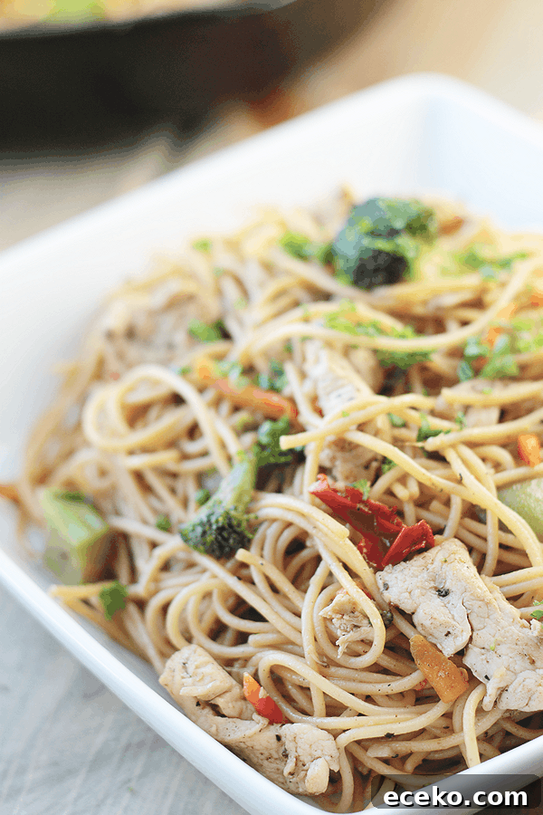 Quick Chicken Lo Mein Recipe: Flavorful Stir-Fry in 30 Minutes 2 a white bowl full of chicken lo mein with veggies