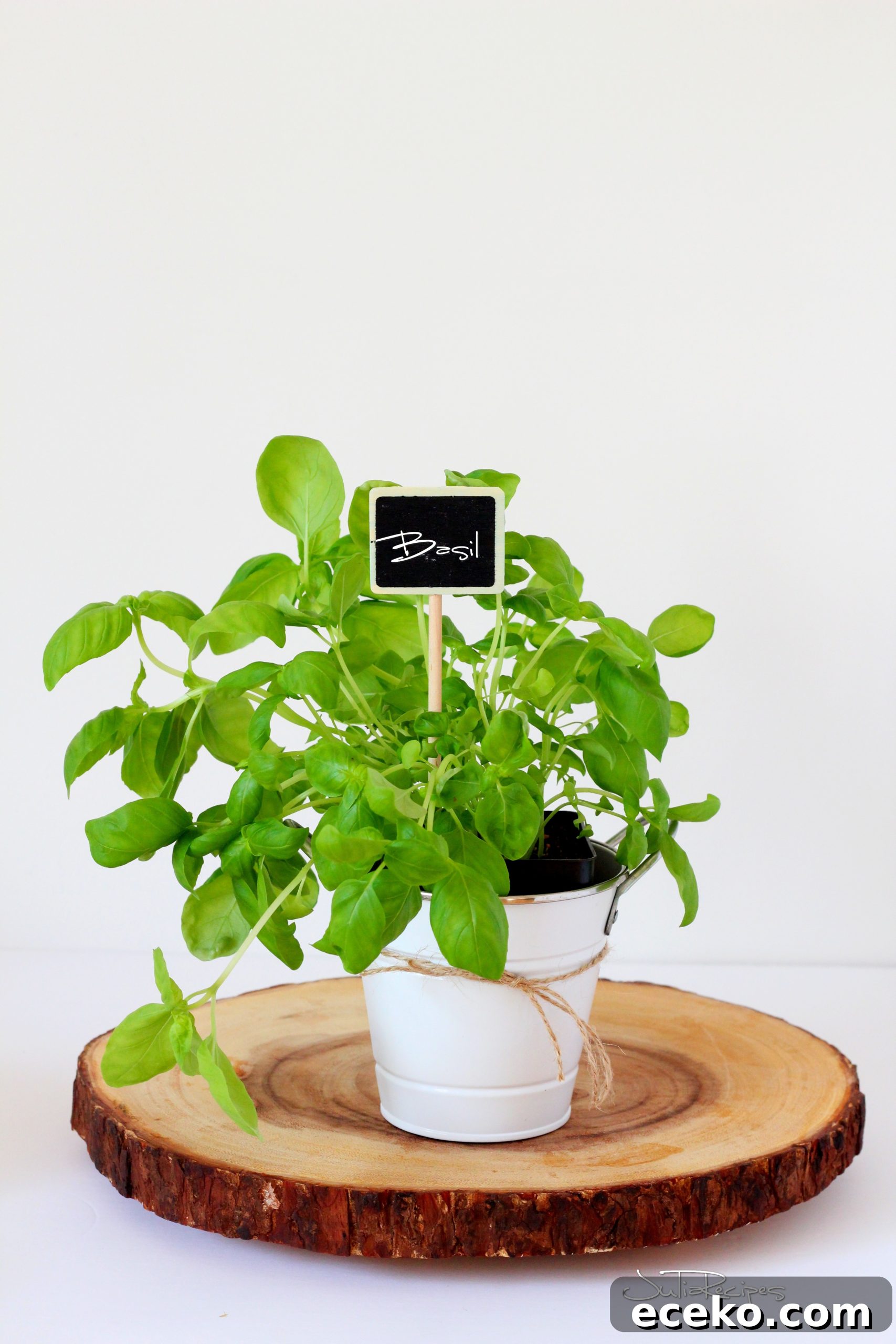 My Herb Garden: Grow, Use, and Enjoy Fresh Herbs at Home 4 IMG_8981logo