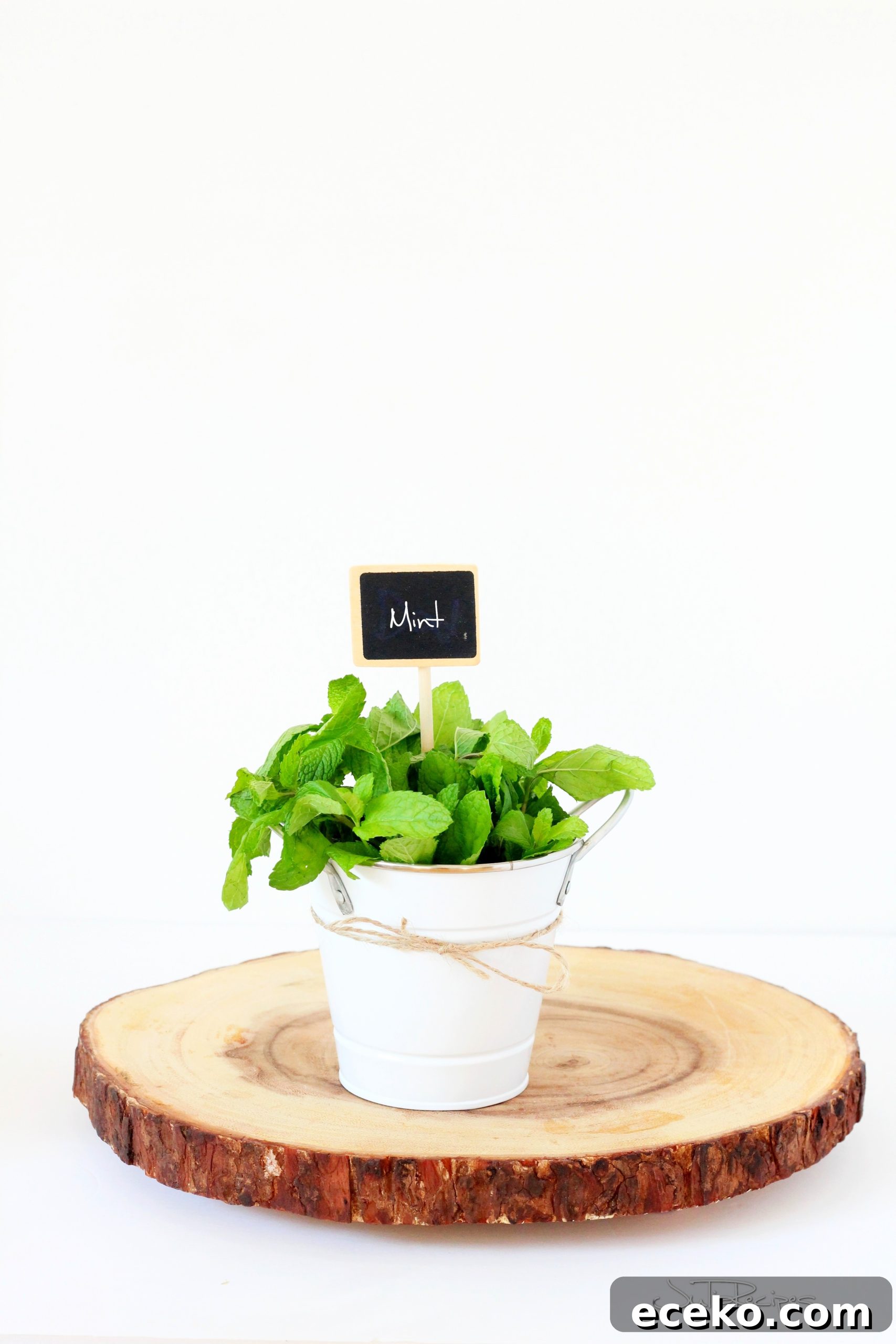 My Herb Garden: Grow, Use, and Enjoy Fresh Herbs at Home 5 IMG_8974logo
