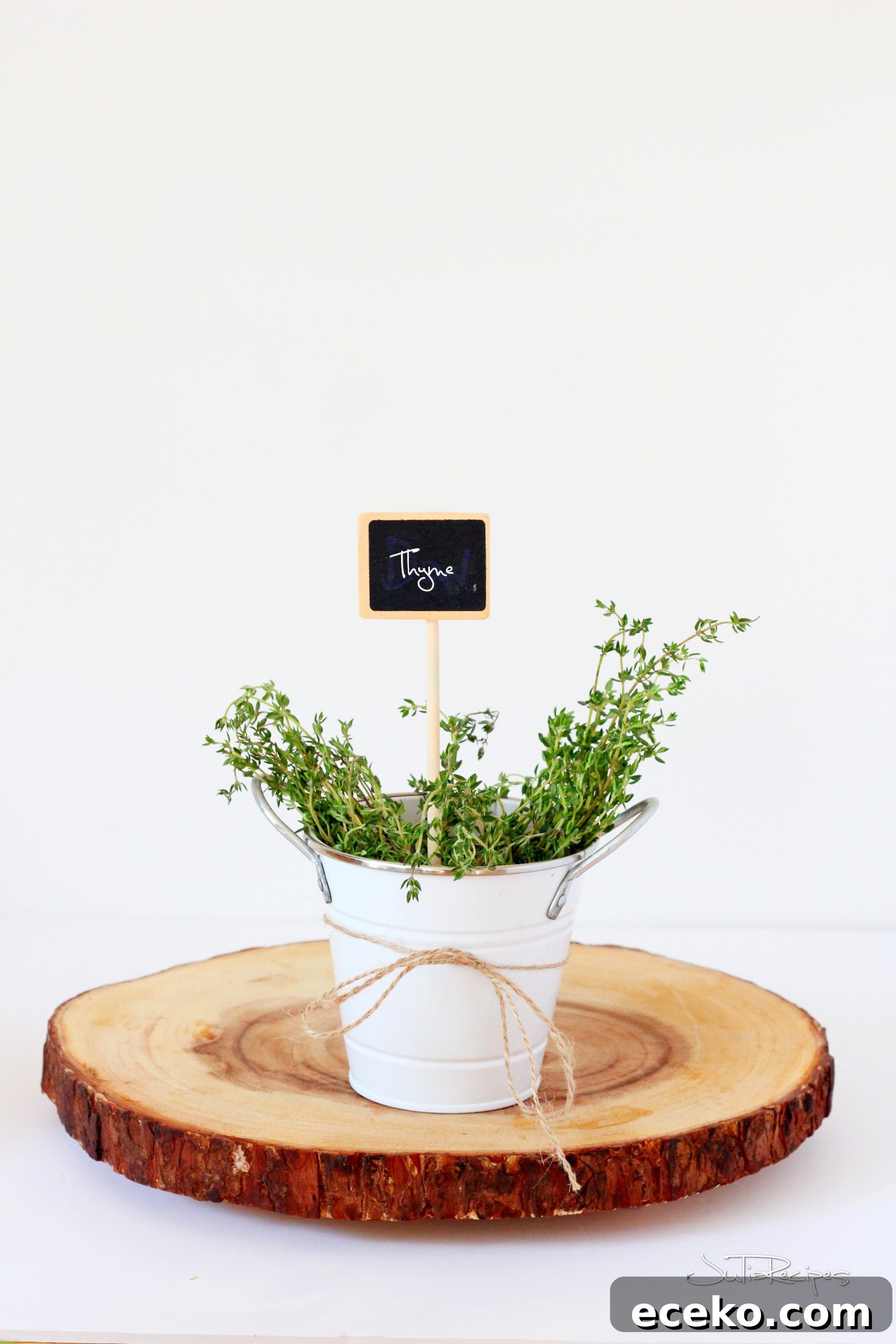 My Herb Garden: Grow, Use, and Enjoy Fresh Herbs at Home 6 IMG_8976logo
