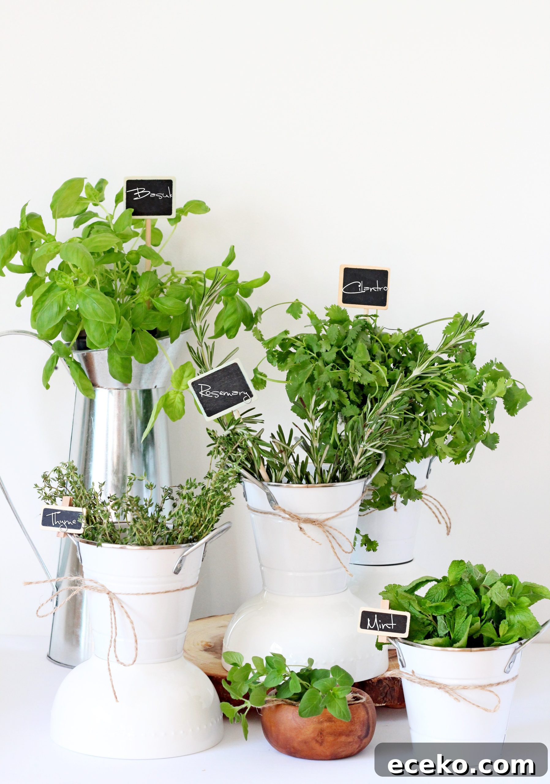 My Herb Garden: Grow, Use, and Enjoy Fresh Herbs at Home 9 IMG_8970insta